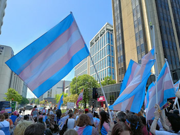 Writing to my MP about trans rights ...again — Owen Blacker